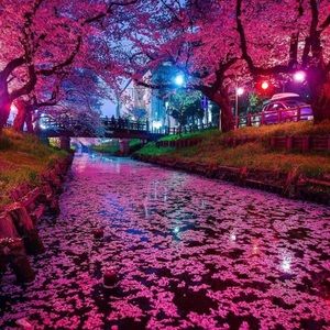 Meet your Posher, Brittney